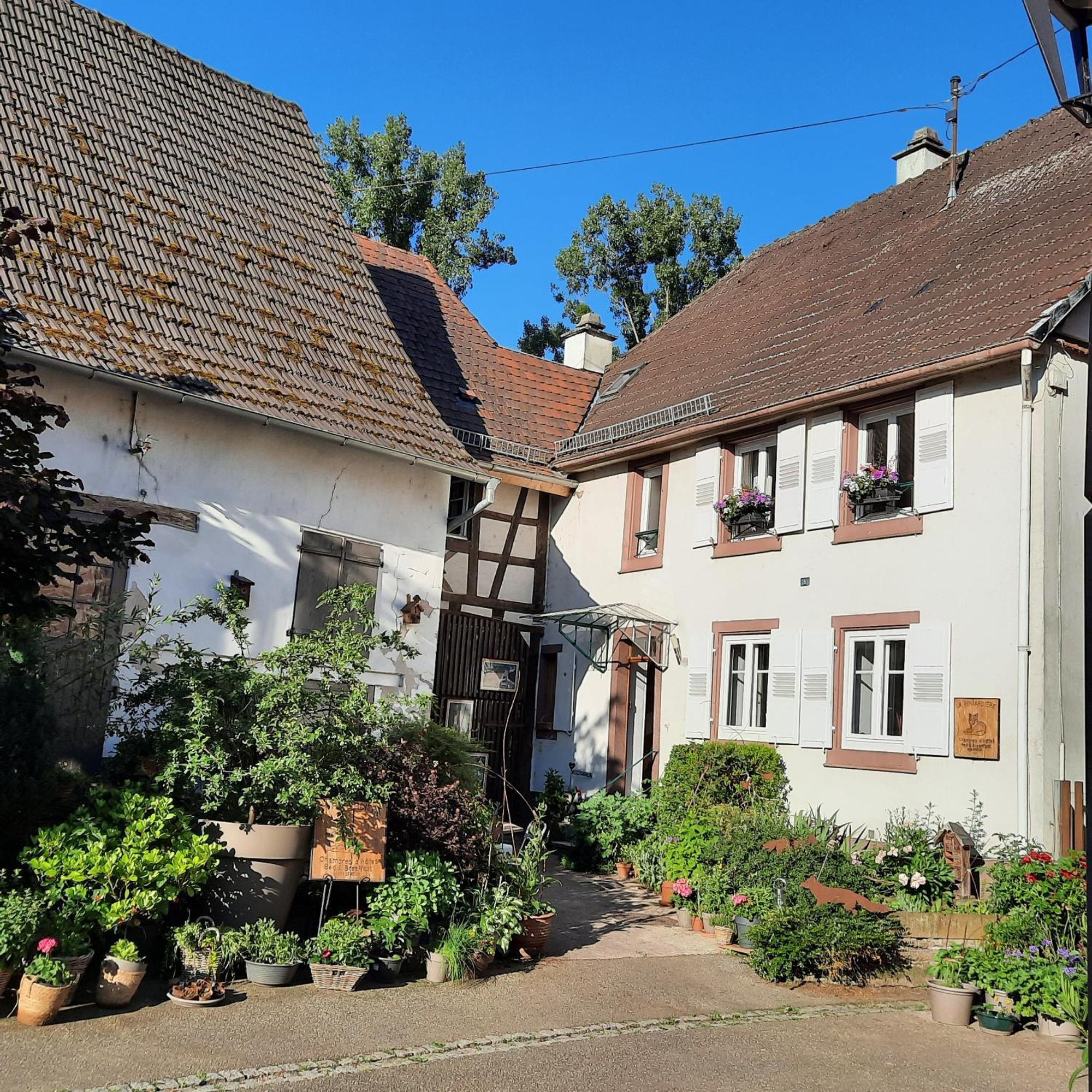 La Renardiere Reichshoffen ภายนอก รูปภาพ